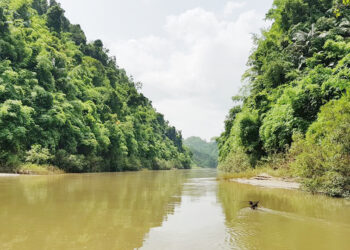 মাতামুহুরী নদী