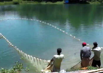 দীর্ঘ ৪ মাস পর রাঙ্গামাটির কাপ্তাই হ্রদে মাছ শিকার শুরু