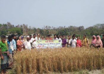 মাঠ দিবস পালন