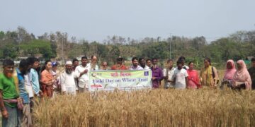 মাঠ দিবস পালন